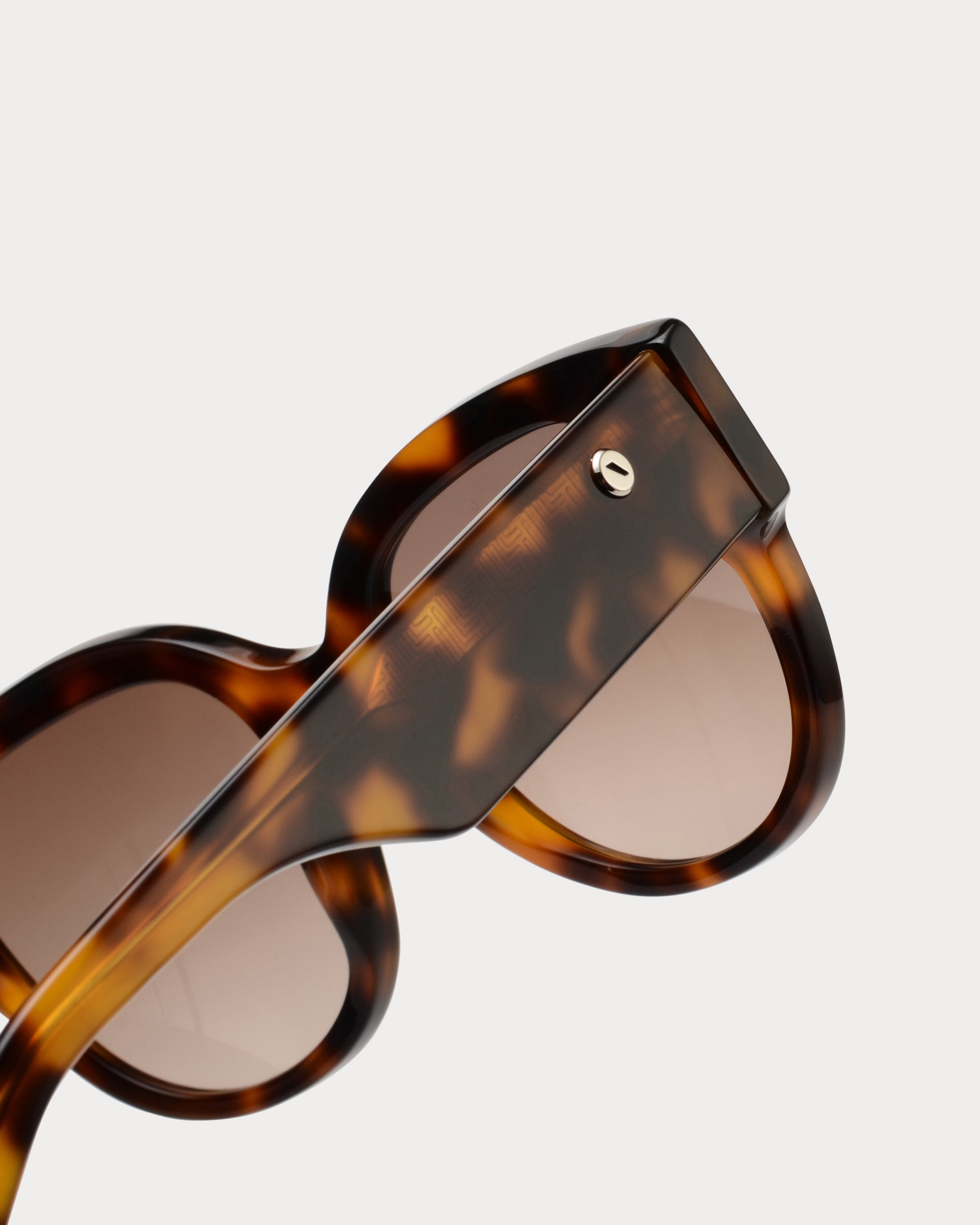 ANTIBES HAVANA BROWN 4